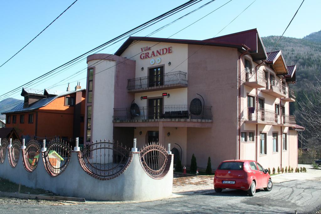 Pensiunea Grande Lepşa Exteriör bild